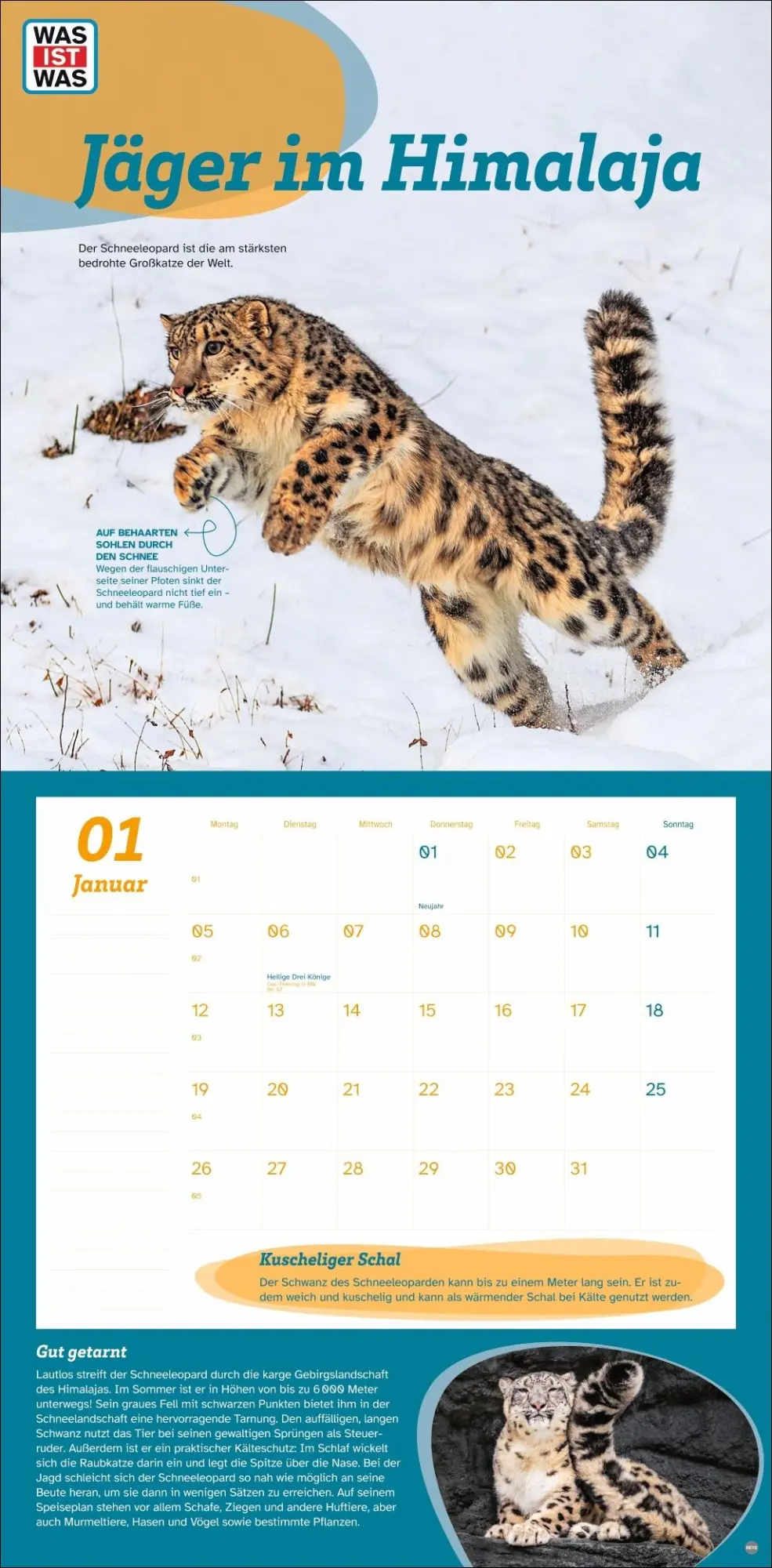 Bild: 9783756409051 | WAS IST WAS Tierwelt Broschurkalender 2026 | Kalender | 28 S. | 2026