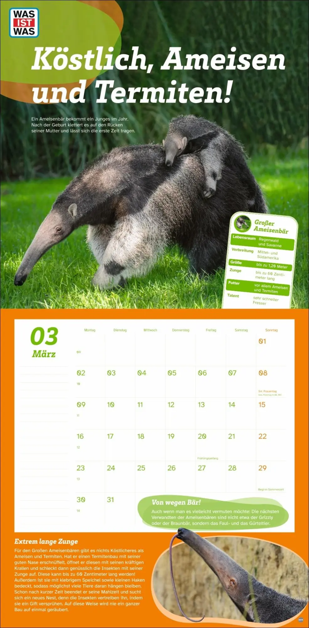 Bild: 9783756409051 | WAS IST WAS Tierwelt Broschurkalender 2026 | Kalender | 28 S. | 2026