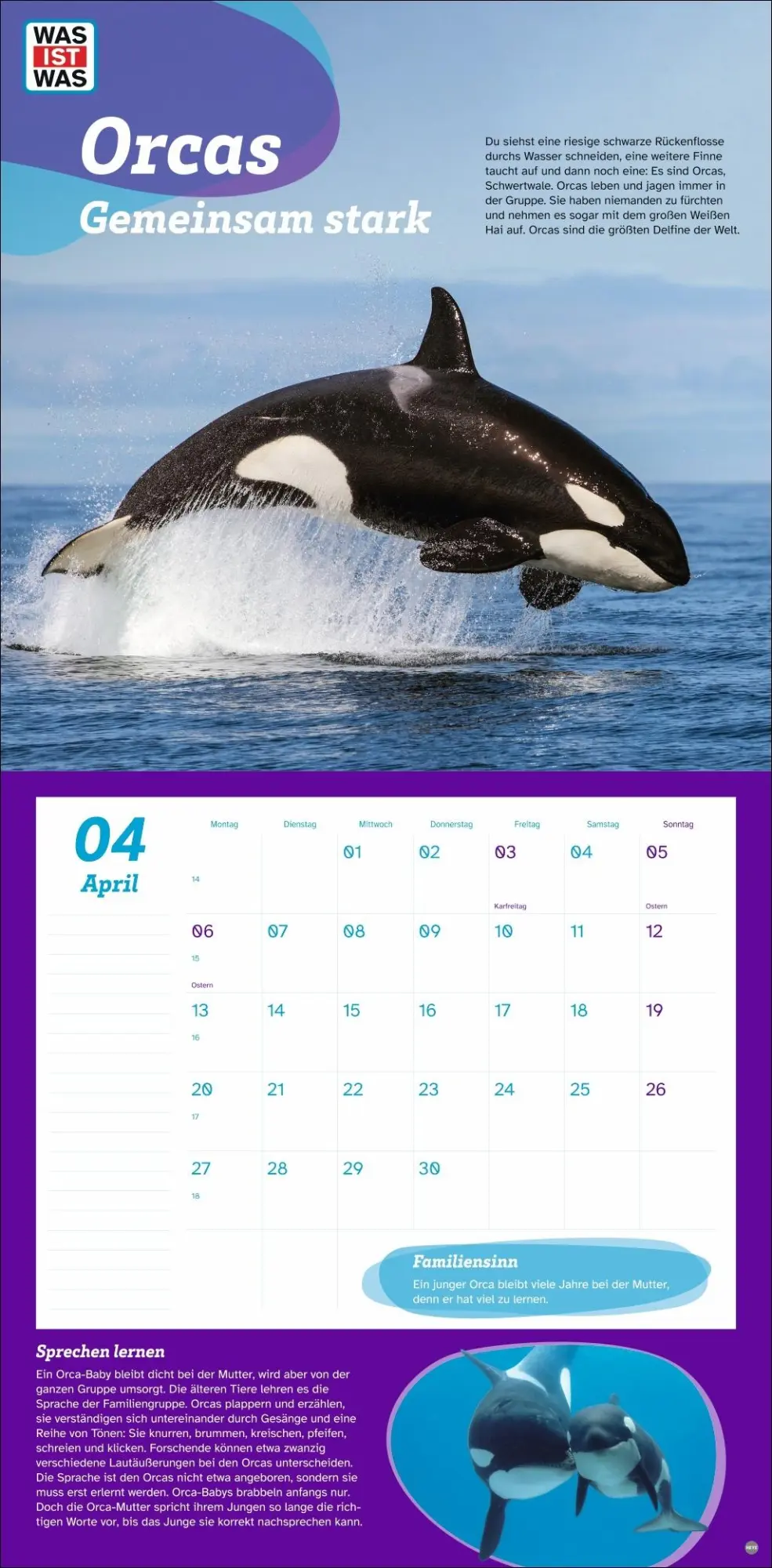 Bild: 9783756409051 | WAS IST WAS Tierwelt Broschurkalender 2026 | Kalender | 28 S. | 2026