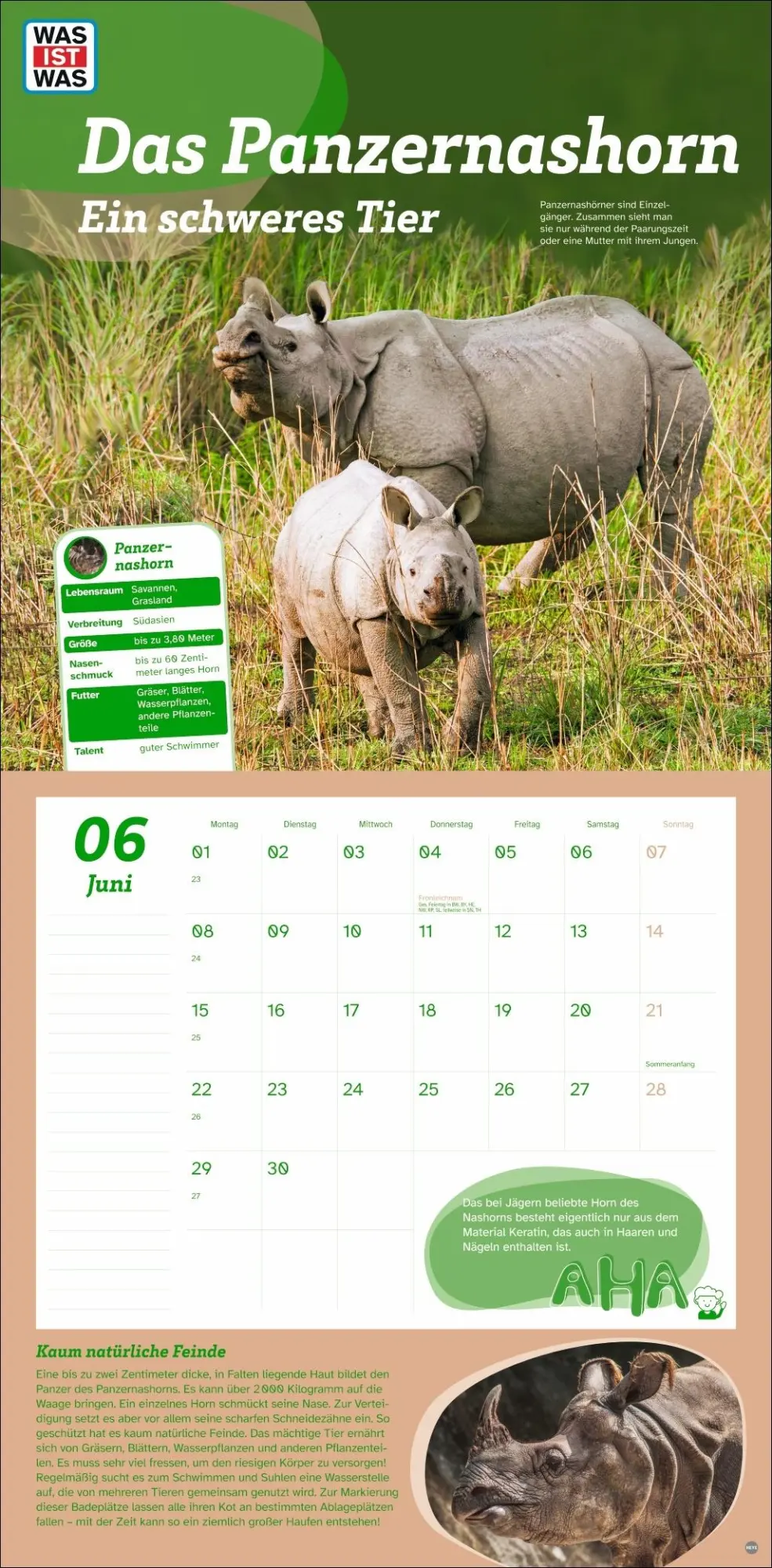 Bild: 9783756409051 | WAS IST WAS Tierwelt Broschurkalender 2026 | Kalender | 28 S. | 2026