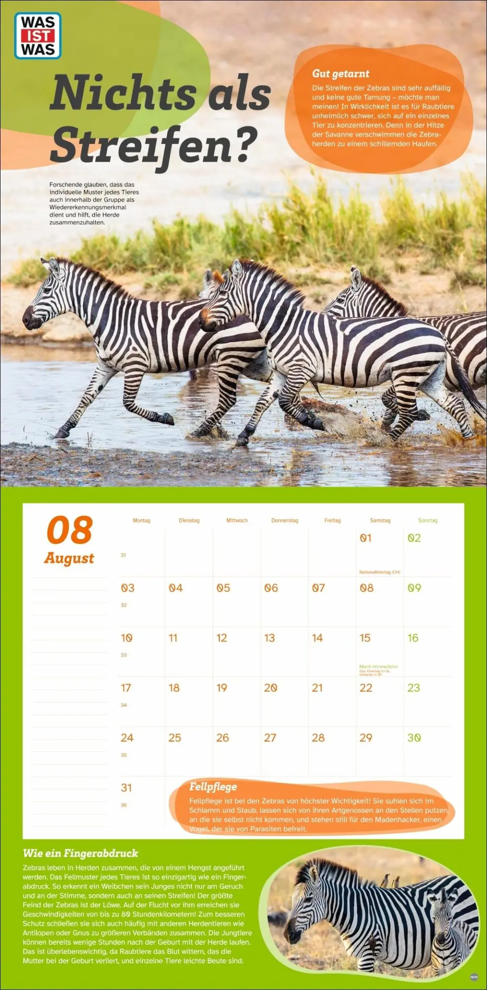 Bild: 9783756409051 | WAS IST WAS Tierwelt Broschurkalender 2026 | Kalender | 28 S. | 2026