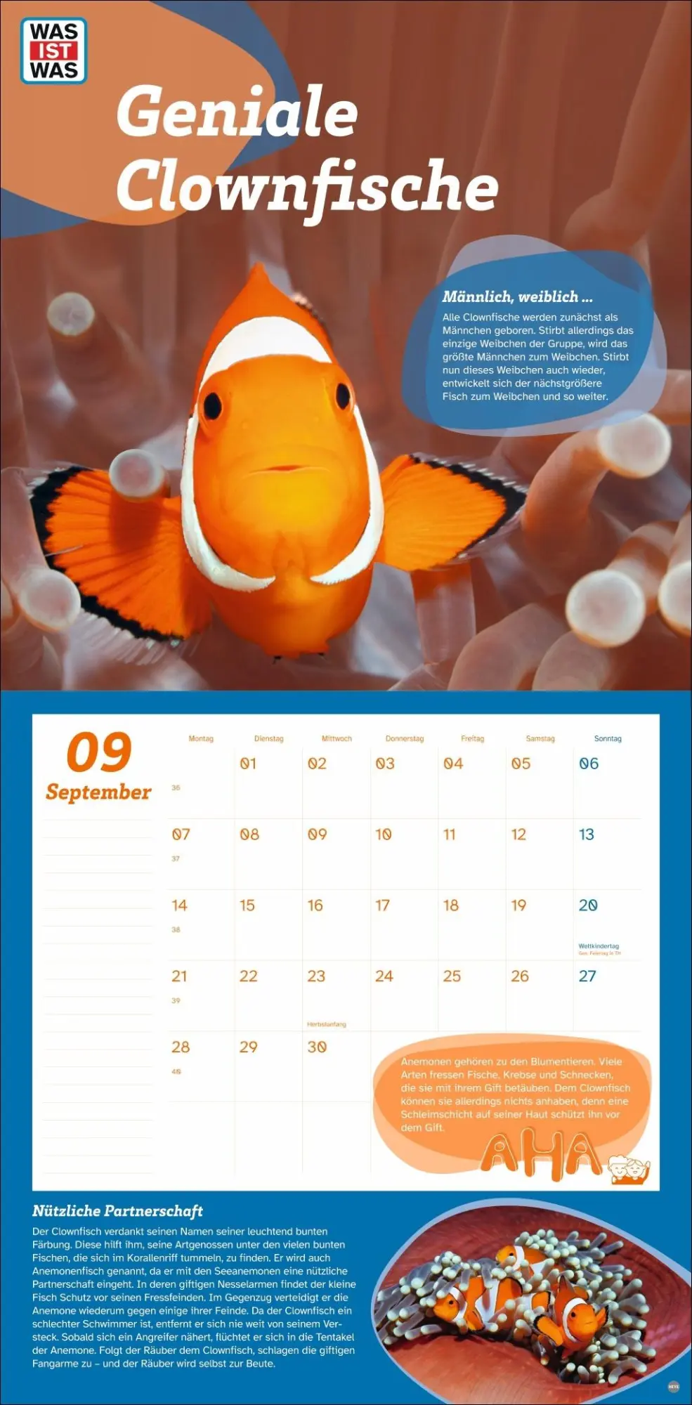 Bild: 9783756409051 | WAS IST WAS Tierwelt Broschurkalender 2026 | Kalender | 28 S. | 2026