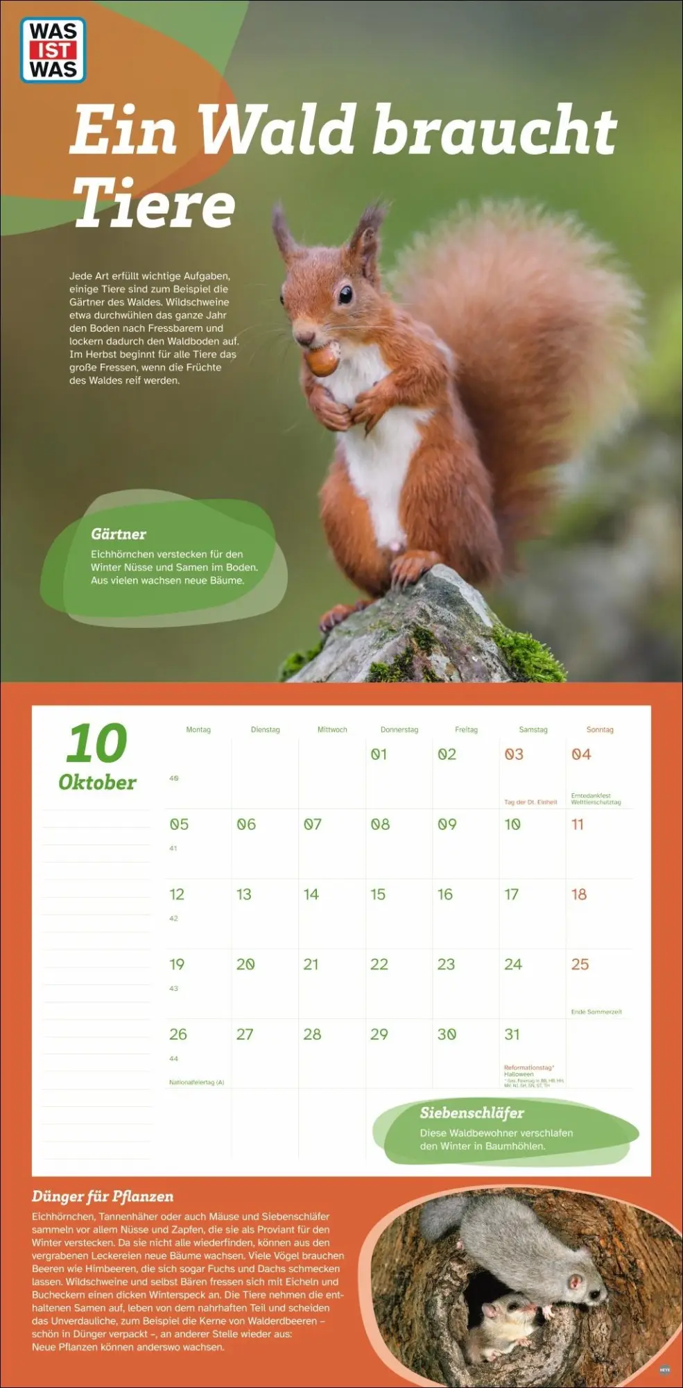 Bild: 9783756409051 | WAS IST WAS Tierwelt Broschurkalender 2026 | Kalender | 28 S. | 2026