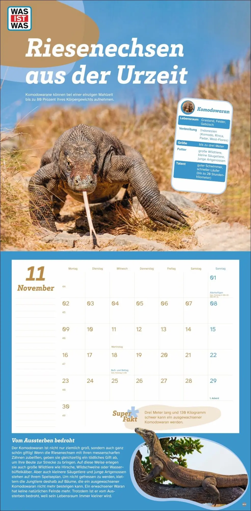 Bild: 9783756409051 | WAS IST WAS Tierwelt Broschurkalender 2026 | Kalender | 28 S. | 2026