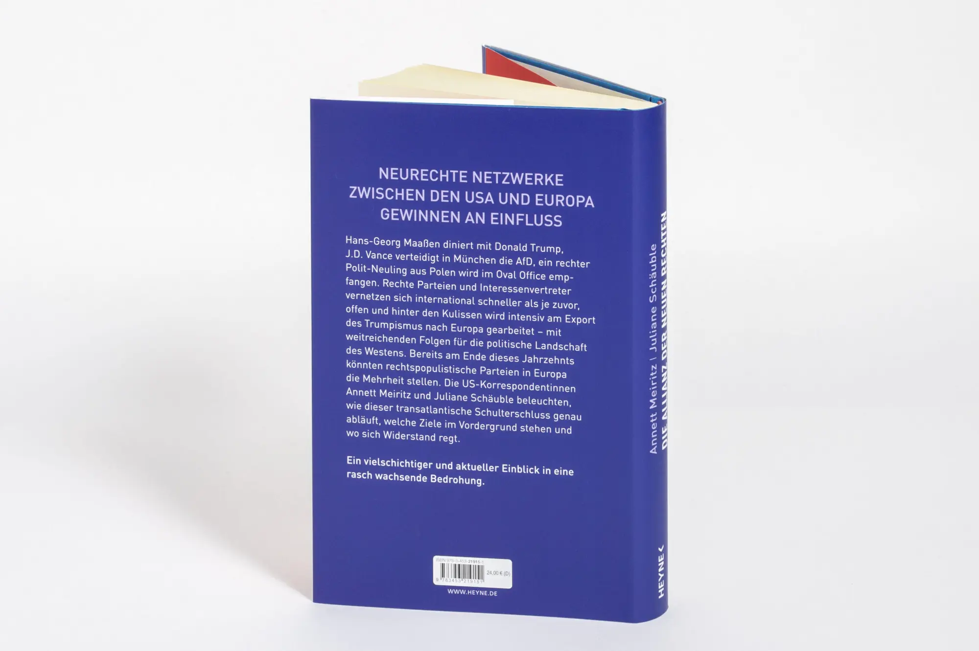 Bild: 9783453219151 | Die Allianz der Neuen Rechten | Annett Meiritz (u. a.) | Buch | 288 S.