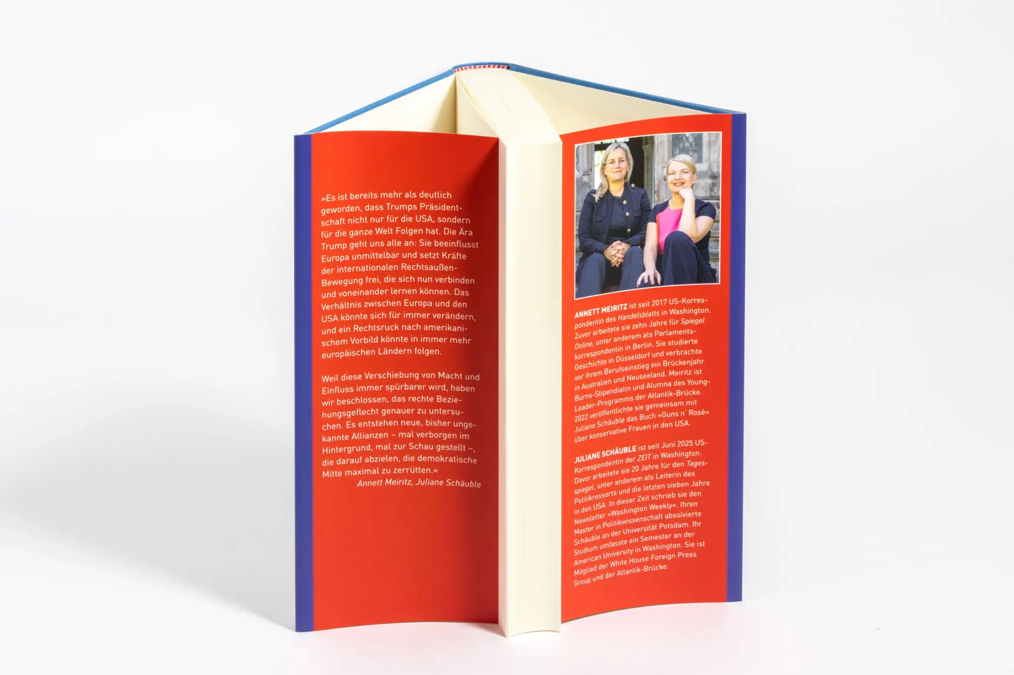 Bild: 9783453219151 | Die Allianz der Neuen Rechten | Annett Meiritz (u. a.) | Buch | 288 S.