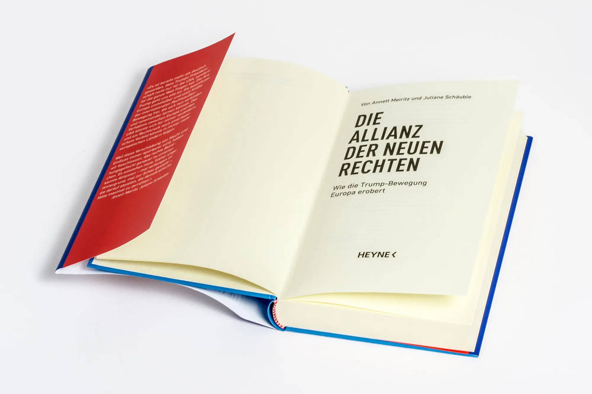 Bild: 9783453219151 | Die Allianz der Neuen Rechten | Annett Meiritz (u. a.) | Buch | 288 S.