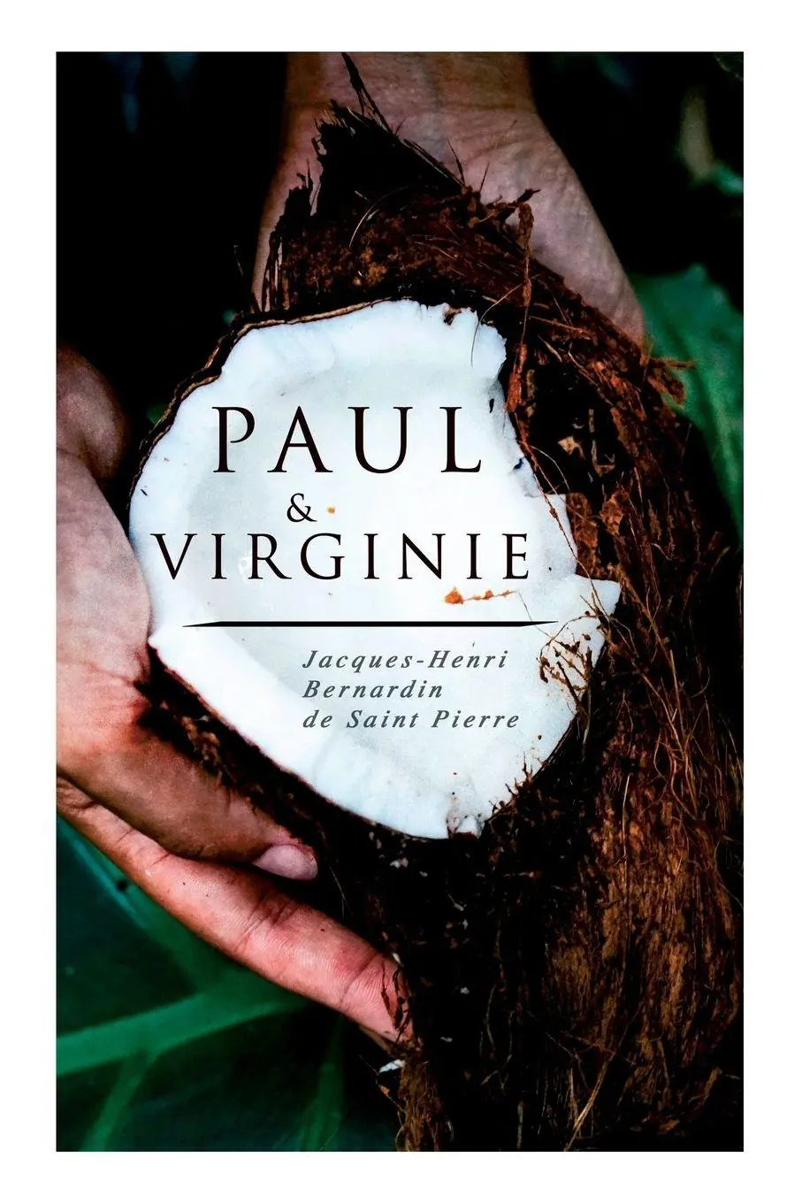 Cover: 9788026889151 | Paul &amp; Virginie | Jacques-Henri Bernardin Saint de Pierre | Buch