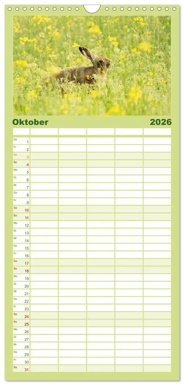 Bild: 9783516649451 | Familienplaner 2026 - Feldhasen unterwegs in Wald und Flur mit 5...