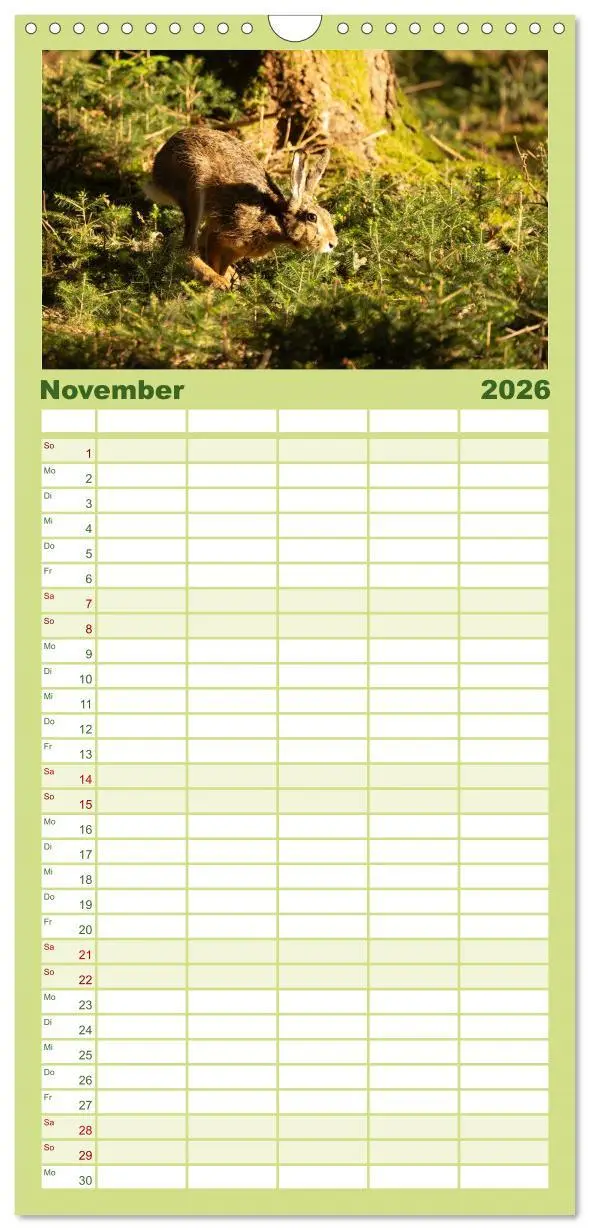 Bild: 9783516649451 | Familienplaner 2026 - Feldhasen unterwegs in Wald und Flur mit 5...