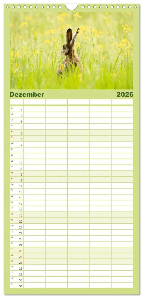 Bild: 9783516649451 | Familienplaner 2026 - Feldhasen unterwegs in Wald und Flur mit 5...