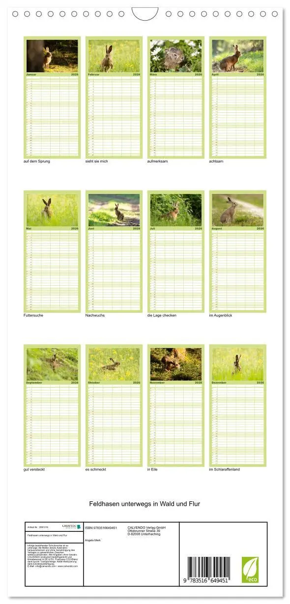 Bild: 9783516649451 | Familienplaner 2026 - Feldhasen unterwegs in Wald und Flur mit 5...