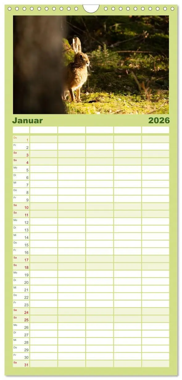 Bild: 9783516649451 | Familienplaner 2026 - Feldhasen unterwegs in Wald und Flur mit 5...