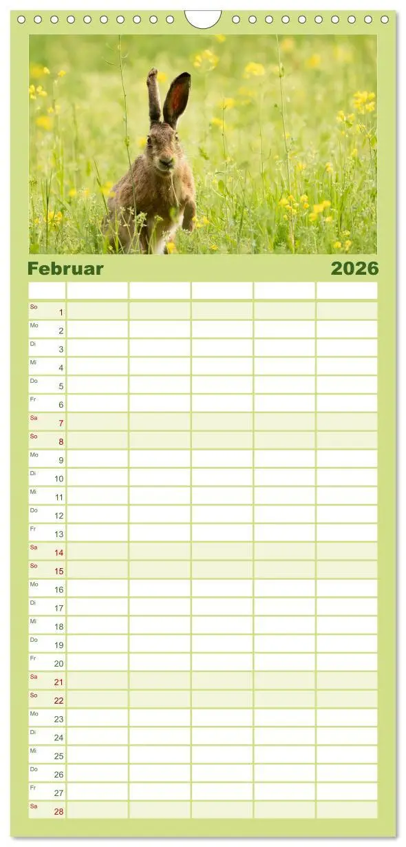 Bild: 9783516649451 | Familienplaner 2026 - Feldhasen unterwegs in Wald und Flur mit 5...