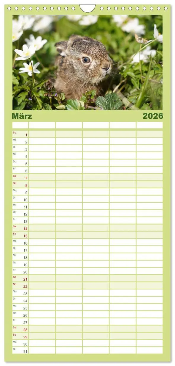 Bild: 9783516649451 | Familienplaner 2026 - Feldhasen unterwegs in Wald und Flur mit 5...