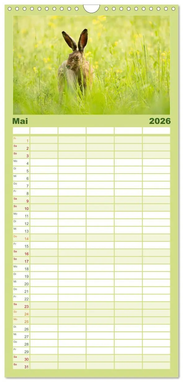 Bild: 9783516649451 | Familienplaner 2026 - Feldhasen unterwegs in Wald und Flur mit 5...