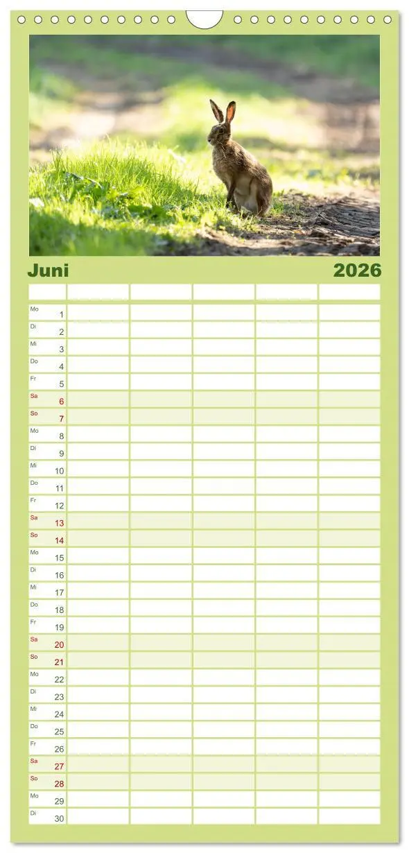 Bild: 9783516649451 | Familienplaner 2026 - Feldhasen unterwegs in Wald und Flur mit 5...