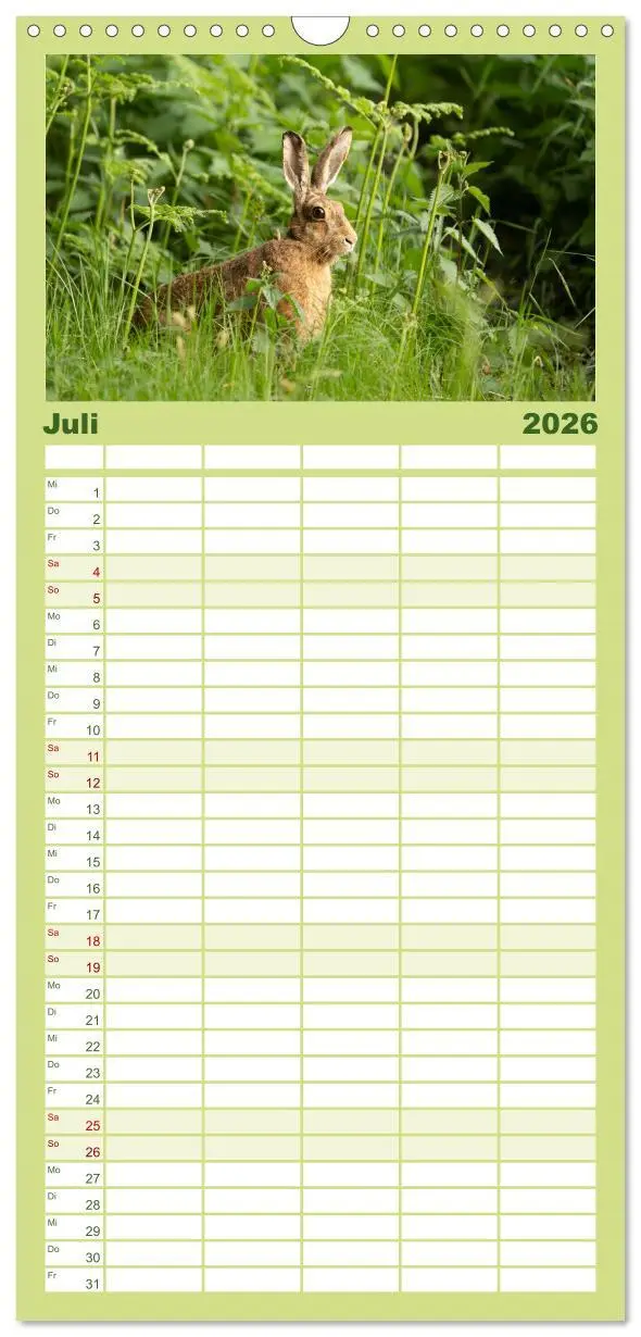Bild: 9783516649451 | Familienplaner 2026 - Feldhasen unterwegs in Wald und Flur mit 5...