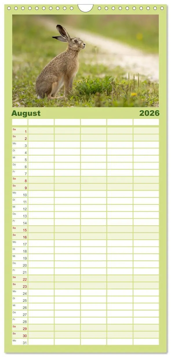 Bild: 9783516649451 | Familienplaner 2026 - Feldhasen unterwegs in Wald und Flur mit 5...