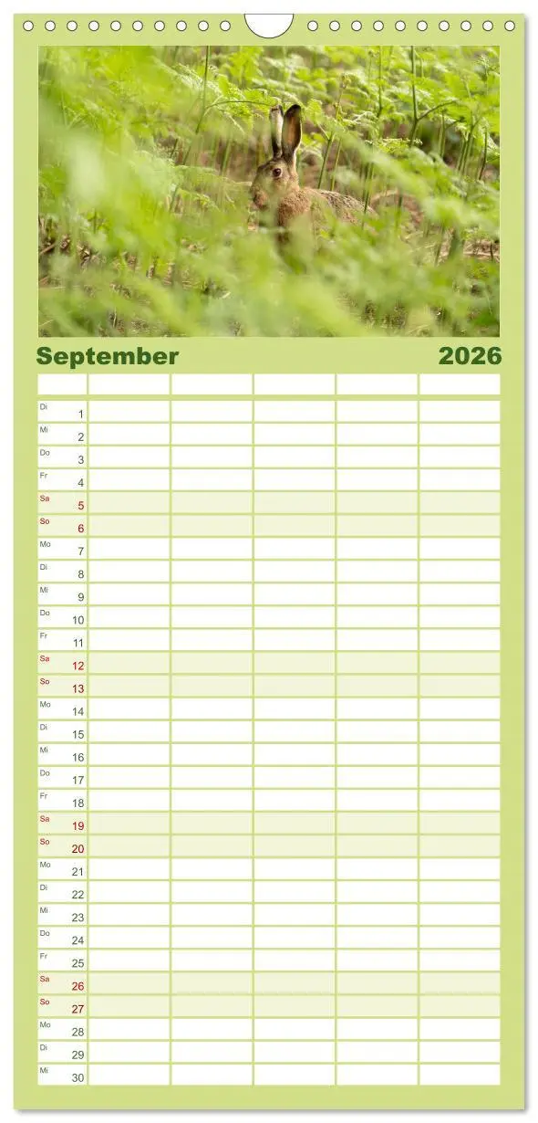 Bild: 9783516649451 | Familienplaner 2026 - Feldhasen unterwegs in Wald und Flur mit 5...