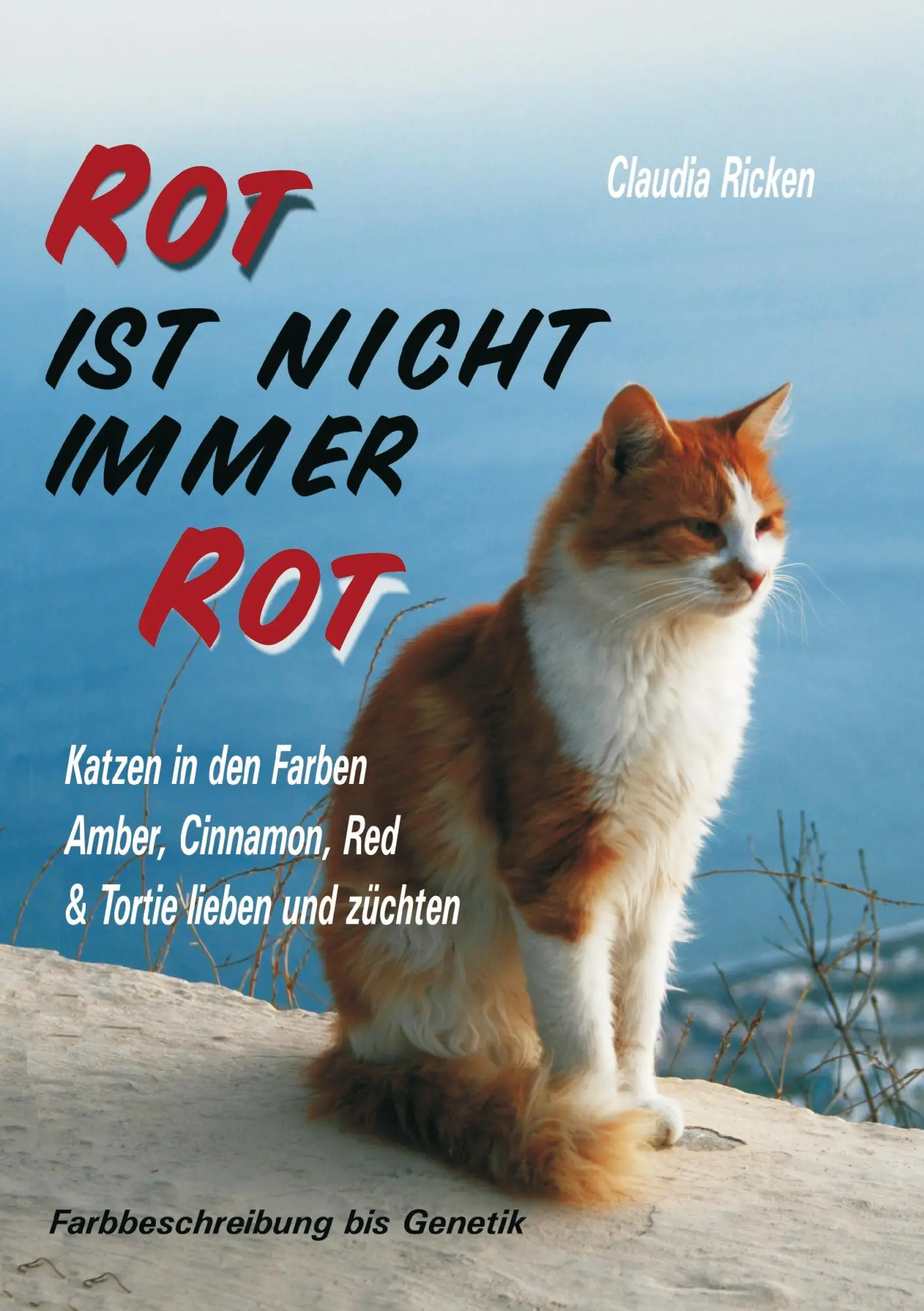 Cover: 9783848219551 | Rot ist nicht immer Rot | Claudia Ricken | Taschenbuch | 240 S. | 2012