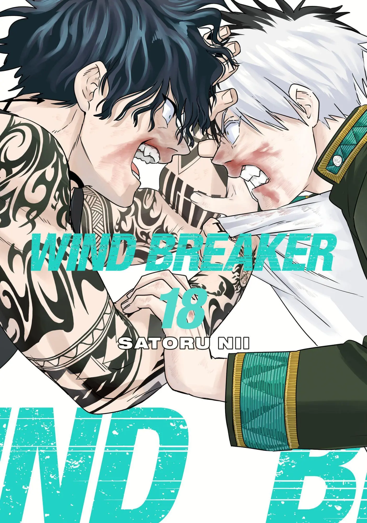 Cover: 9781646519651 | WIND BREAKER 18 | Satoru Nii | Taschenbuch | WIND BREAKER | Englisch