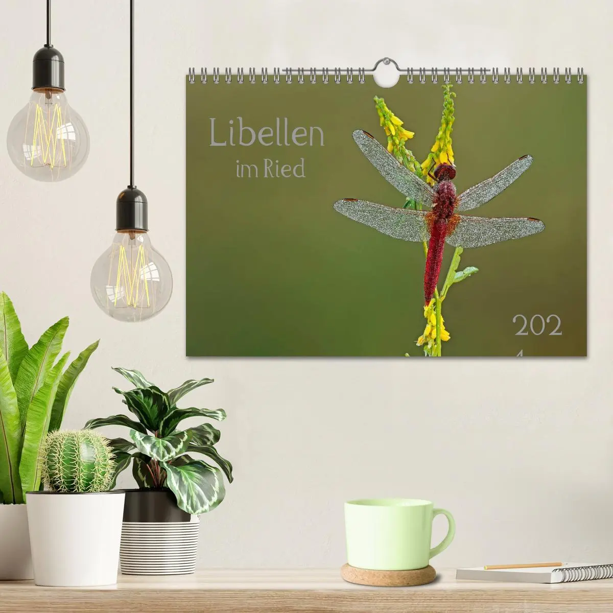 Bild: 9783516009651 | Libellen im Ried (Wandkalender 2026 DIN A4 quer), CALVENDO...