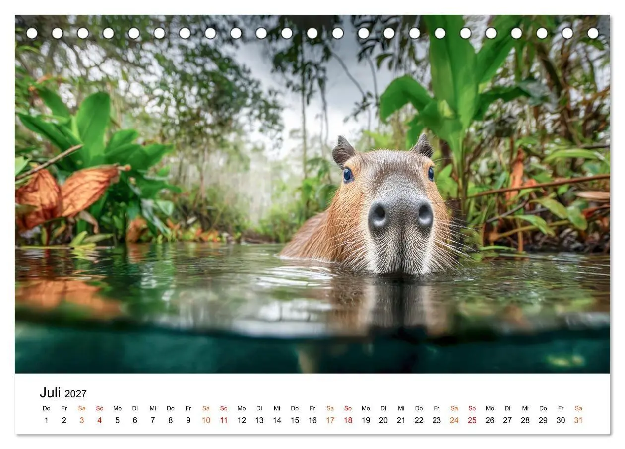 Bild: 9783516799651 | Capybara - die Ruhe als Lebensform (Tischkalender 2027 DIN A5...