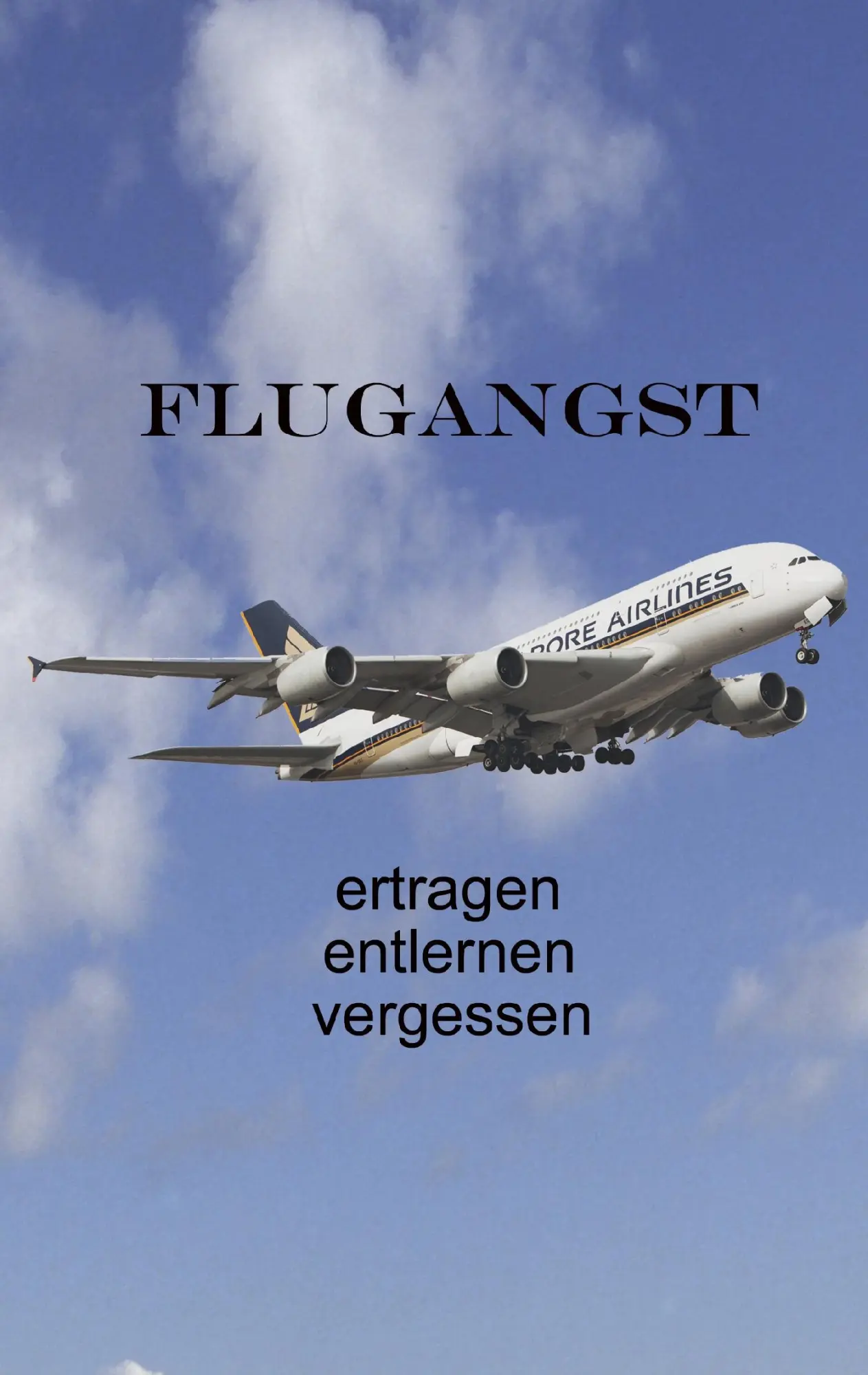 Cover: 9783734739651 | Flugangst ertragen entlernen vergessen | Ute Fischer (u. a.) | Buch