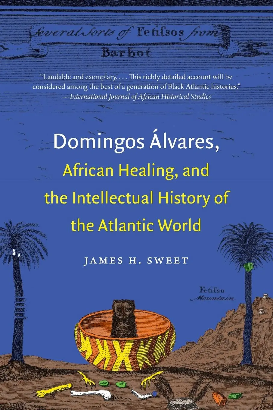 Cover: 9781469609751 | Domingos Álvares, African Healing, and the Intellectual History of...