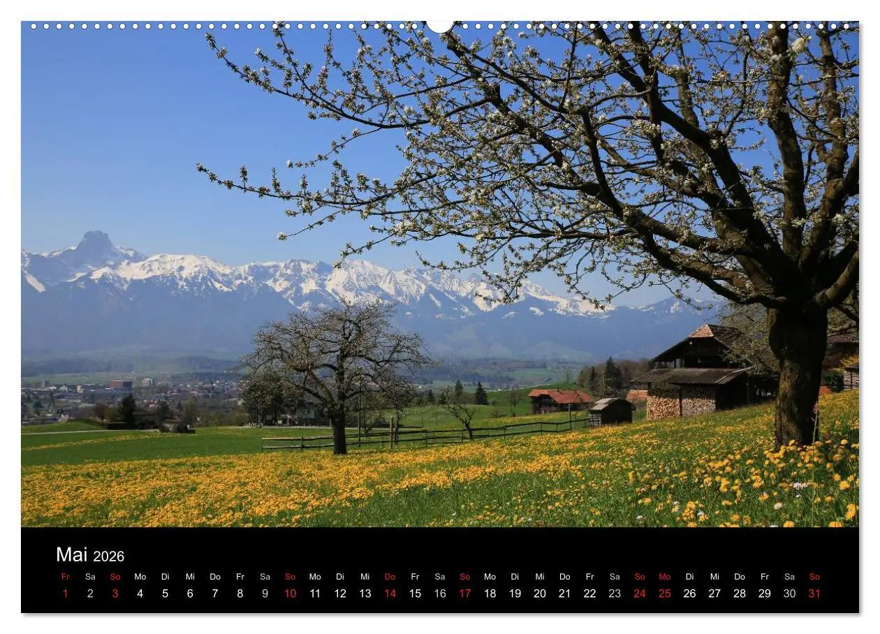 Bild: 9783516169751 | Berner Oberland (Wandkalender 2026 DIN A2 quer), CALVENDO...