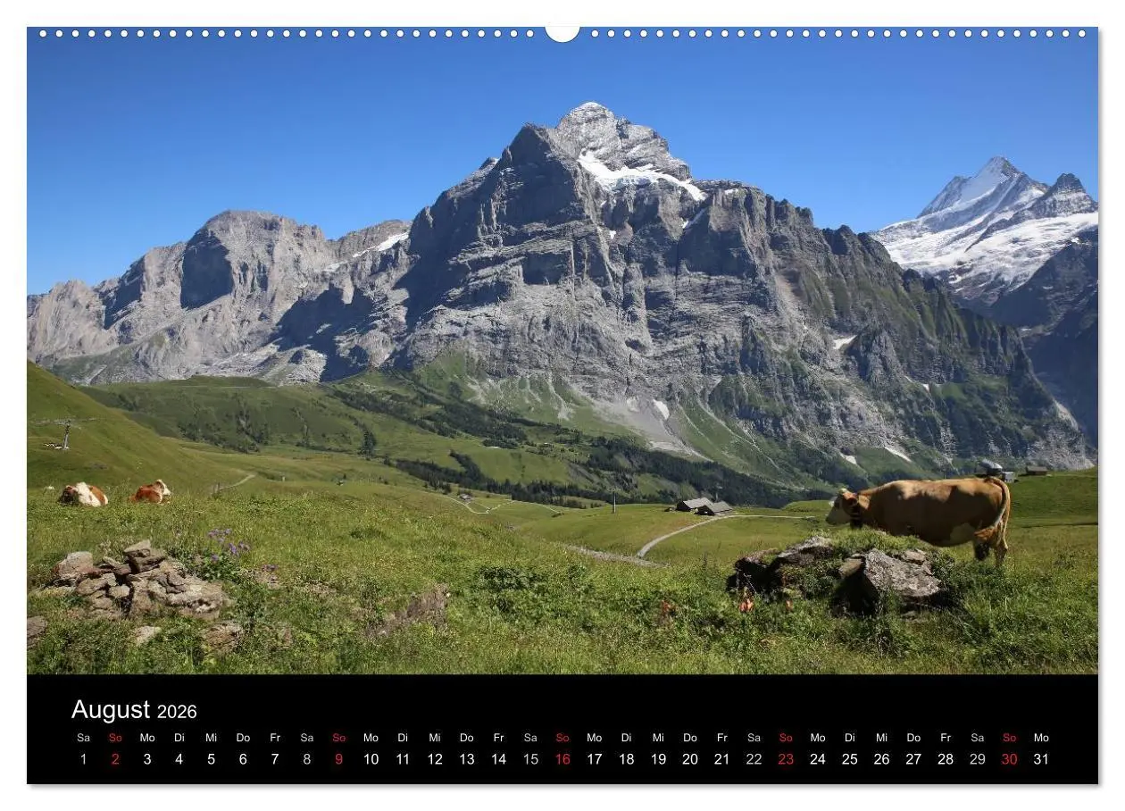 Bild: 9783516169751 | Berner Oberland (Wandkalender 2026 DIN A2 quer), CALVENDO...