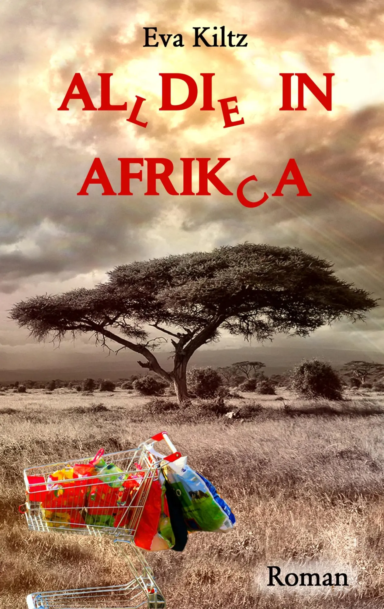 Cover: 9783743189751 | Al(l)di(e) in Afrik(c)a | Eva Kiltz | Taschenbuch | 316 S. | Deutsch