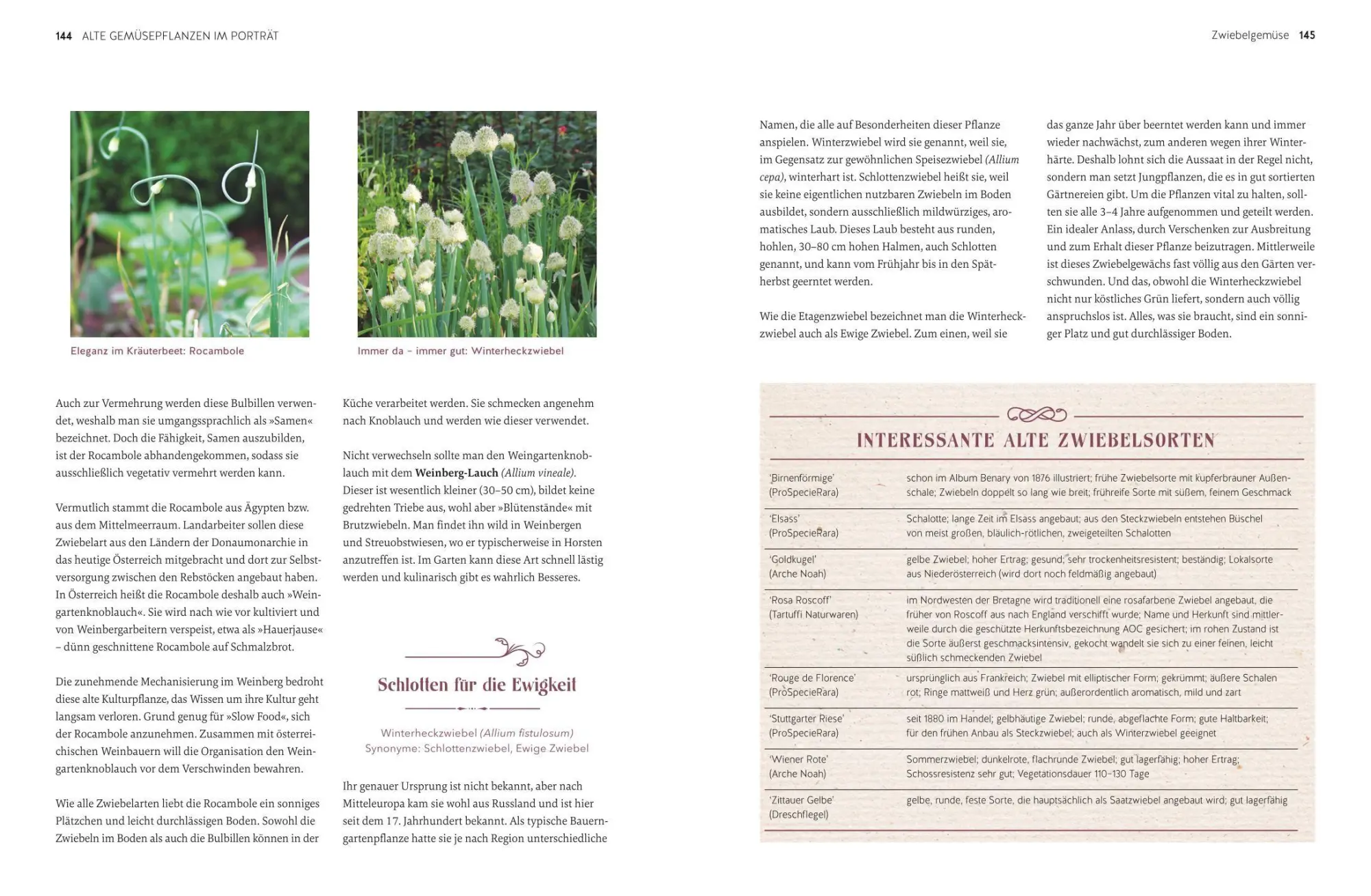 Bild: 9783833899751 | Alte Gemüsepflanzen wiederentdeckt | Bärbel Steinberger | Buch | 2026
