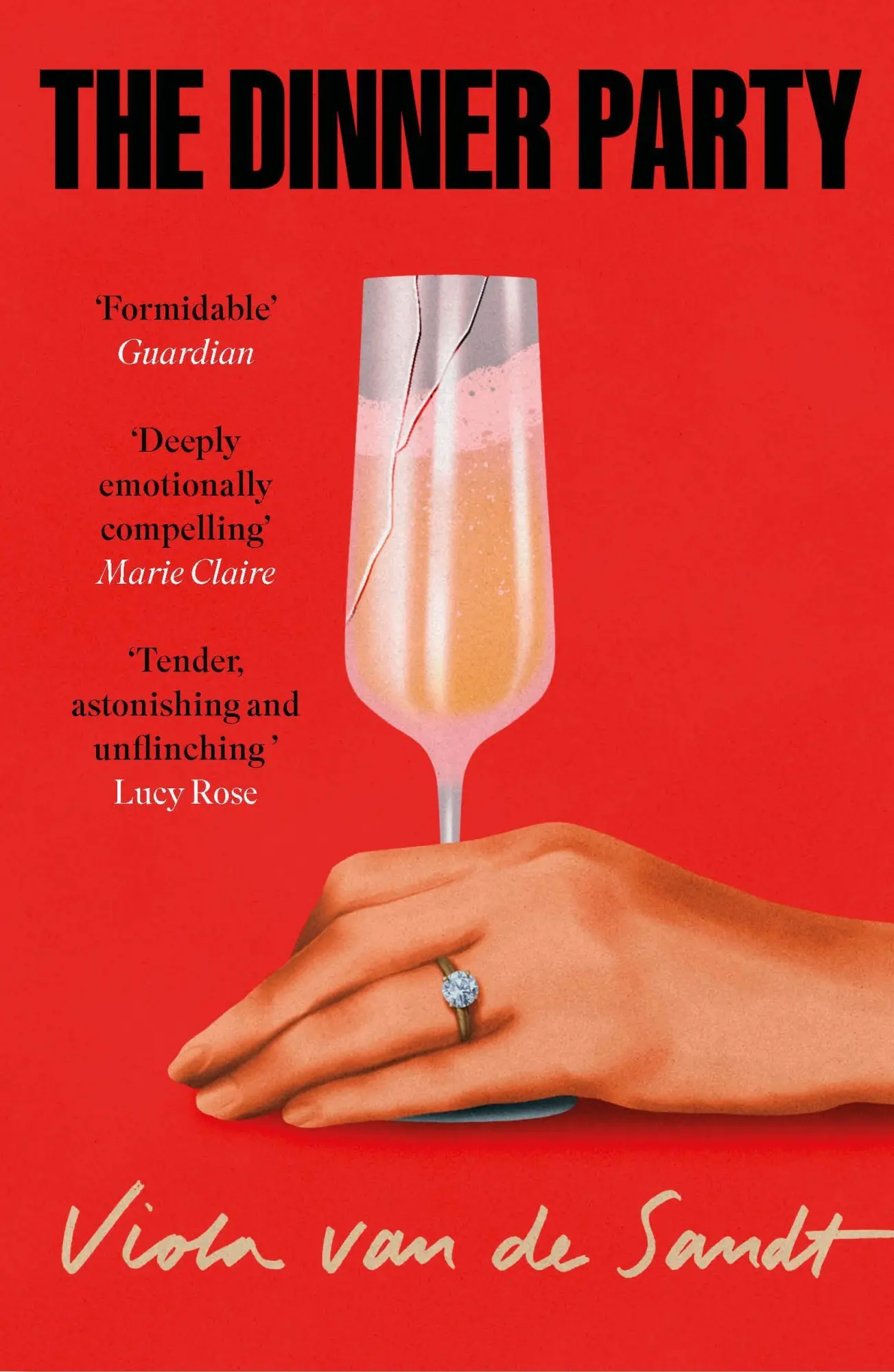 Cover: 9781035429851 | The Dinner Party | Viola van de Sandt | Taschenbuch | Paperback | 2025