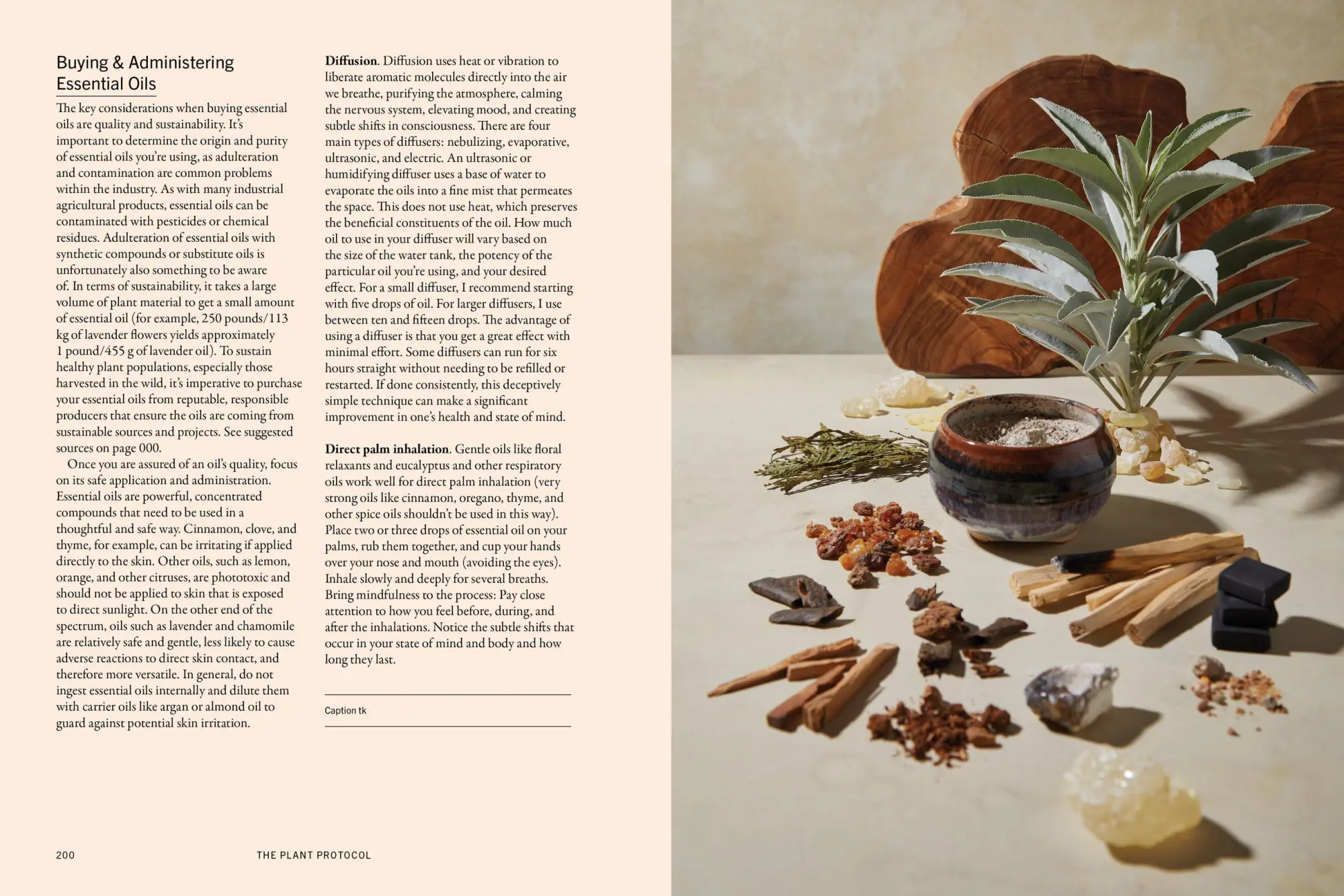 Bild: 9781579659851 | The Plant Medicine Protocol | William Siff | Buch | Gebunden | 2023