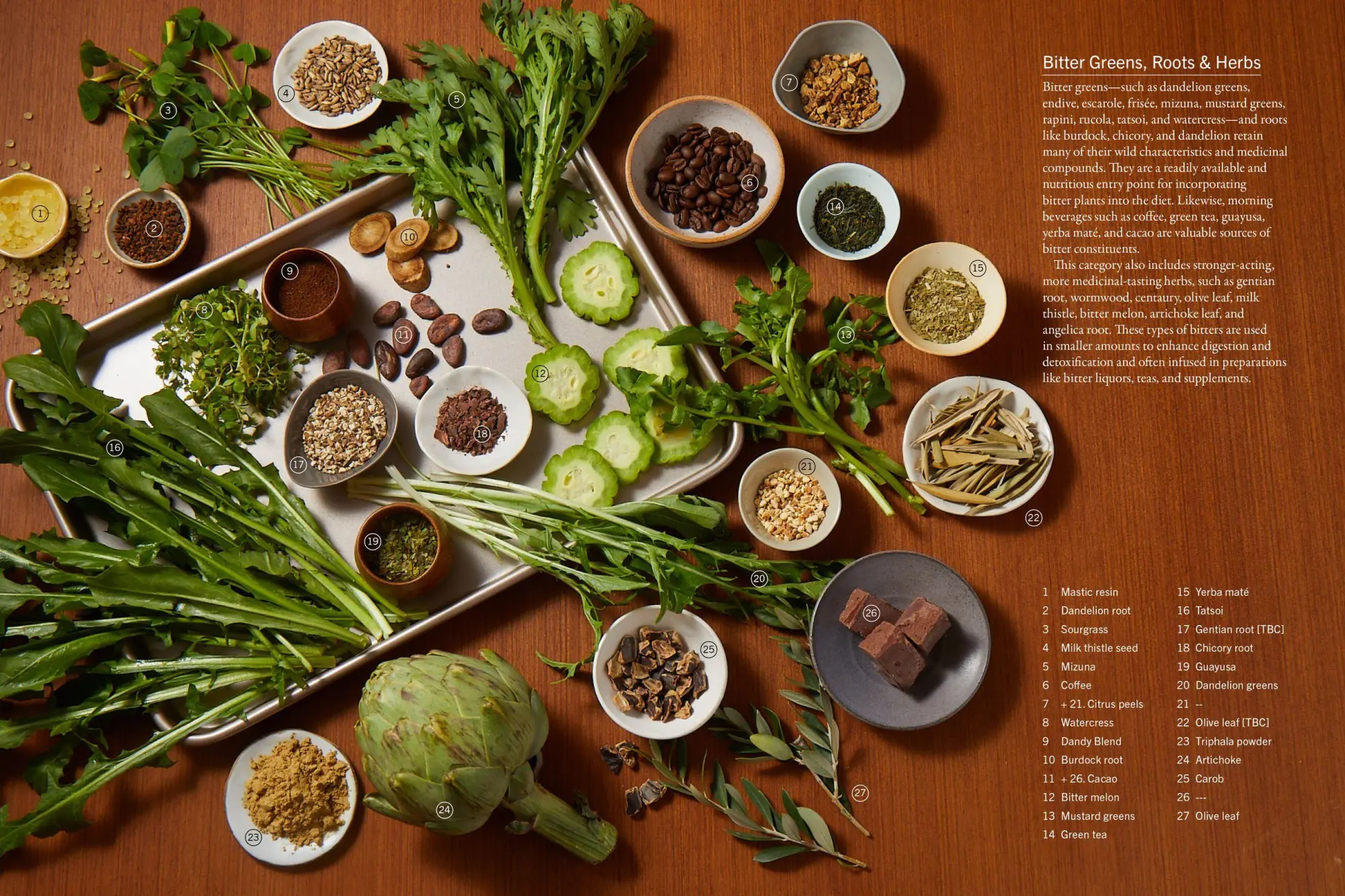 Bild: 9781579659851 | The Plant Medicine Protocol | William Siff | Buch | Gebunden | 2023