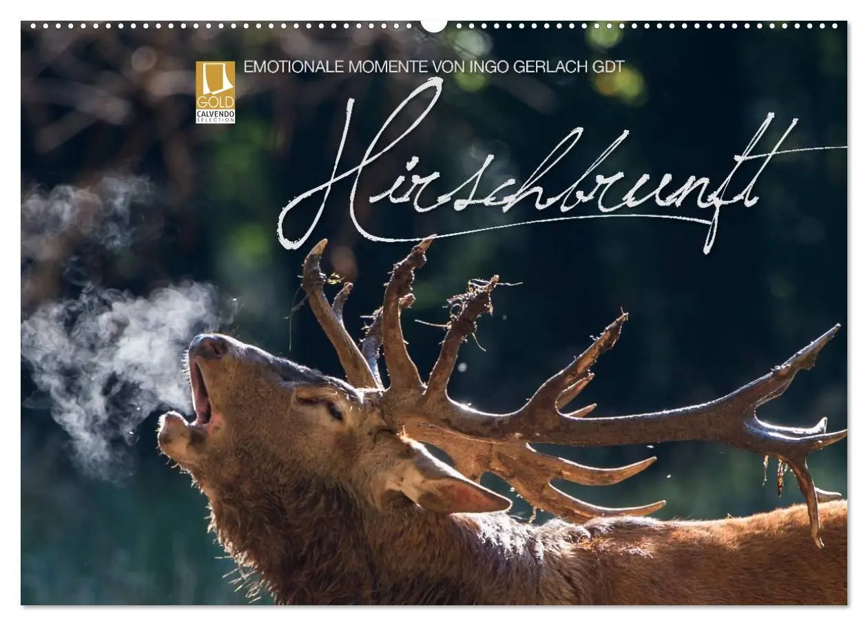 Cover: 9783516229851 | Emotionale Momente: Hirschbrunft (Wandkalender 2026 DIN A2 quer),...