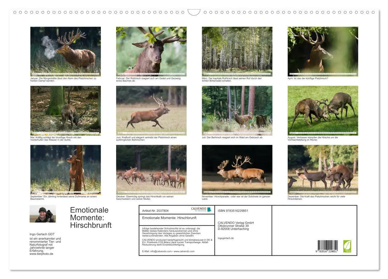 Bild: 9783516229851 | Emotionale Momente: Hirschbrunft (Wandkalender 2026 DIN A2 quer),...