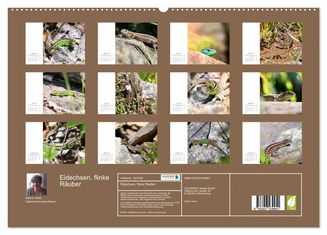 Bild: 9783457439951 | Eidechsen, flinke Räuber (hochwertiger Premium Wandkalender 2026...