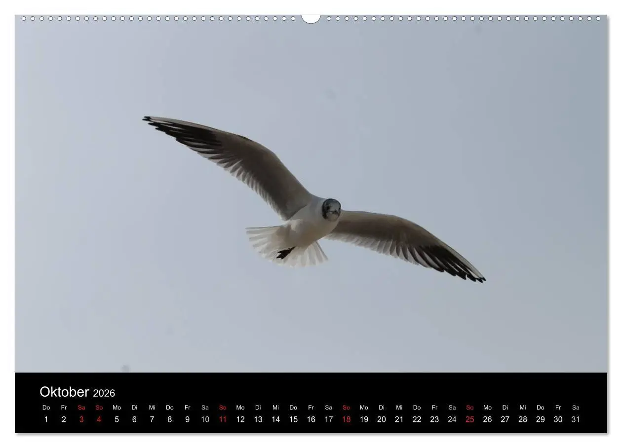 Bild: 9783516149951 | Sylt 2026 (hochwertiger Premium Wandkalender 2026 DIN A2 quer),...