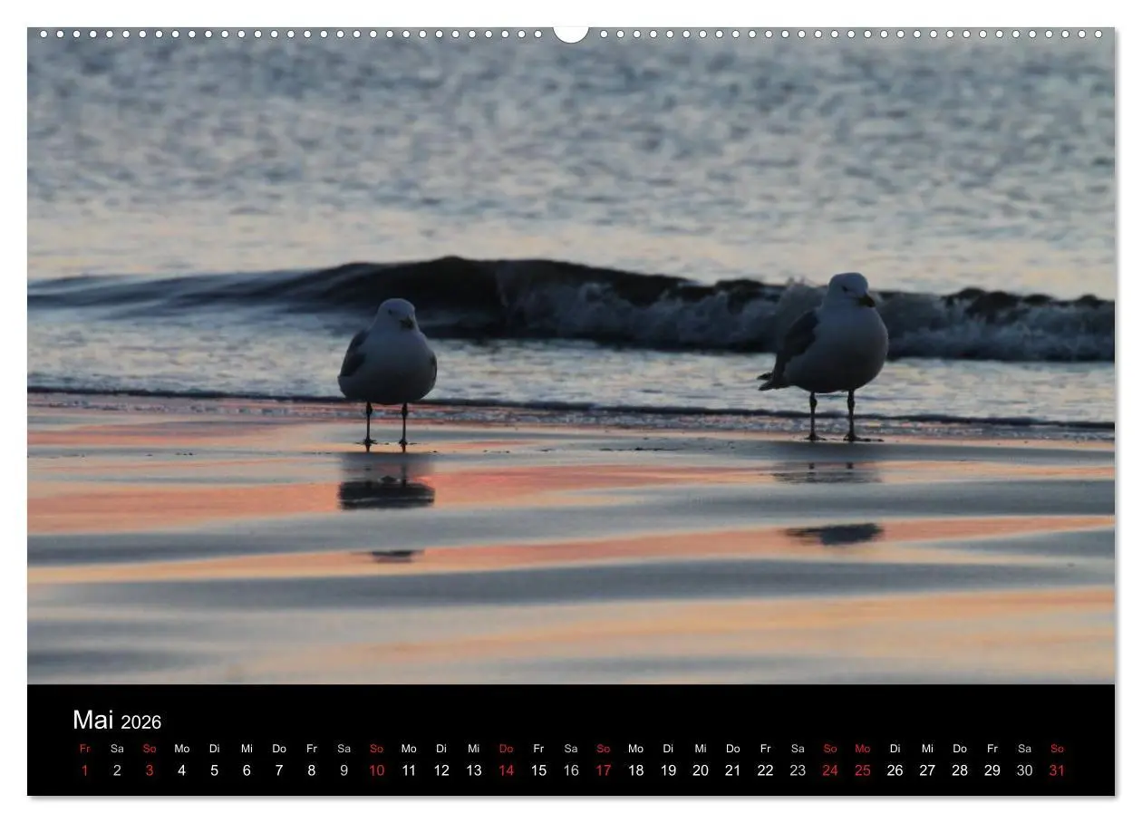 Bild: 9783516149951 | Sylt 2026 (hochwertiger Premium Wandkalender 2026 DIN A2 quer),...