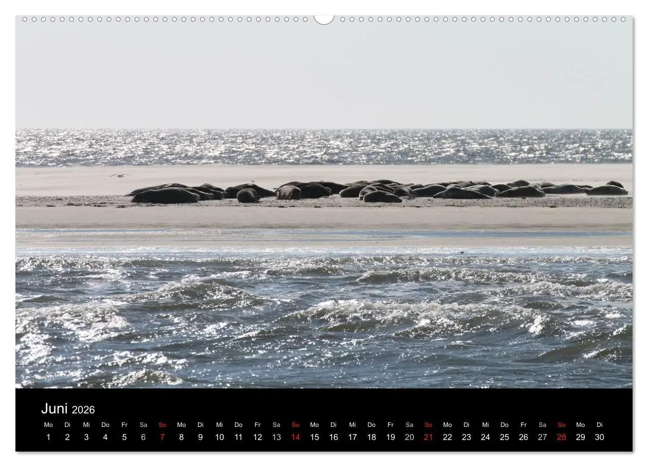 Bild: 9783516149951 | Sylt 2026 (hochwertiger Premium Wandkalender 2026 DIN A2 quer),...