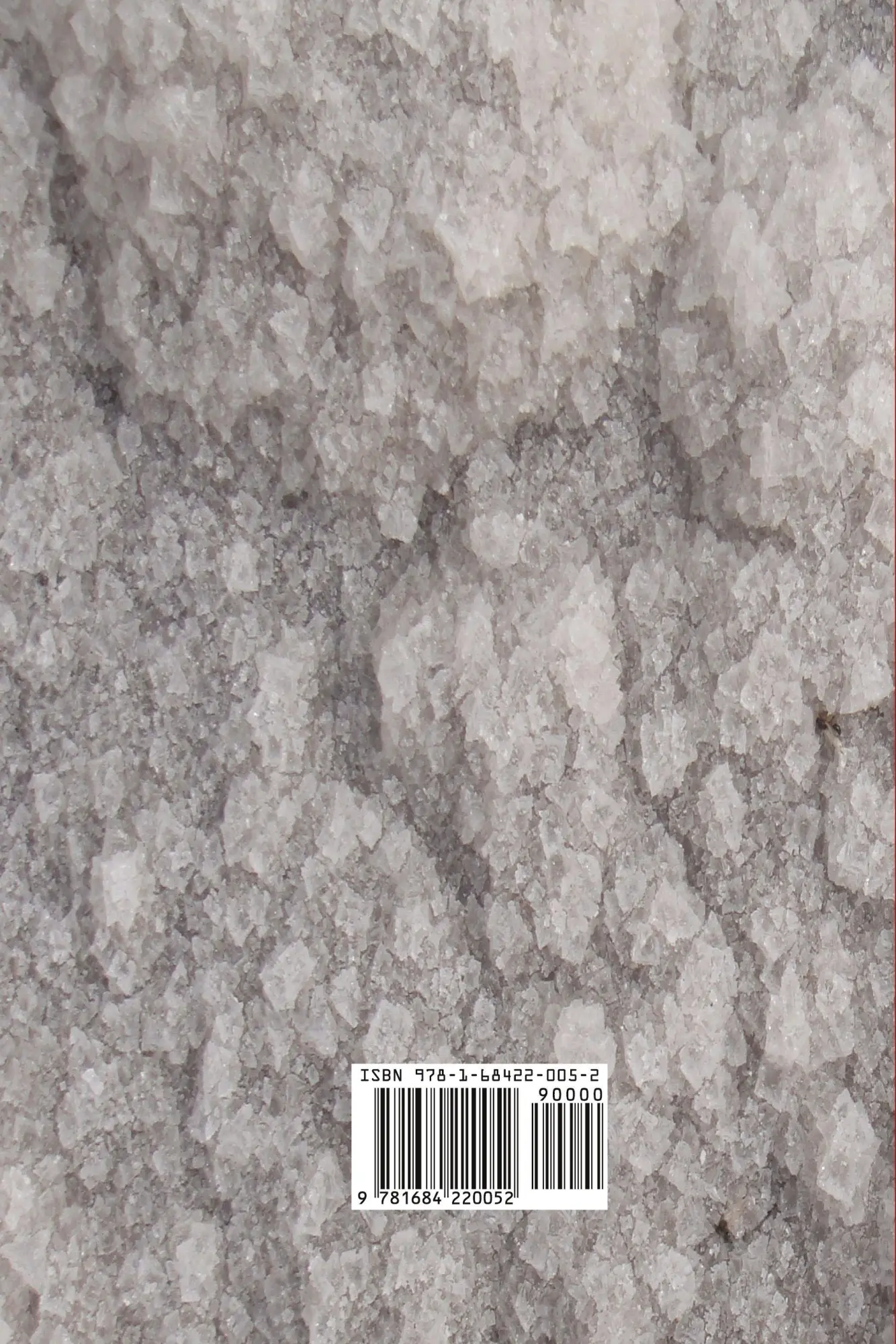 Rückseite: 9781684220052 | The Price of Salt | Patricia Highsmith (u. a.) | Taschenbuch | 2016