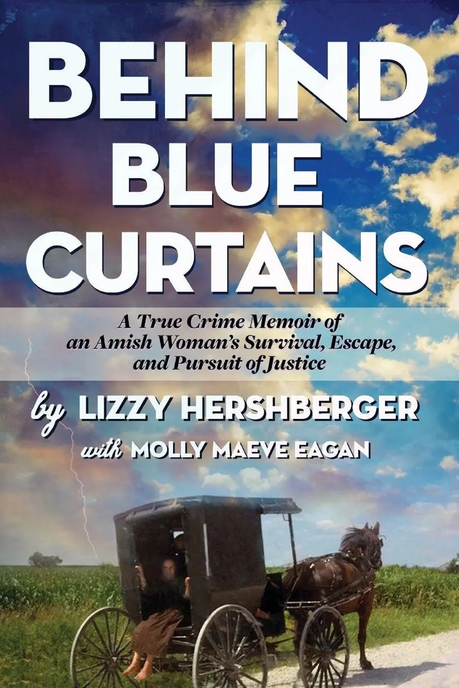 Cover: 9781962890052 | Behind Blue Curtains | Lizzy Hershberger | Taschenbuch | Englisch