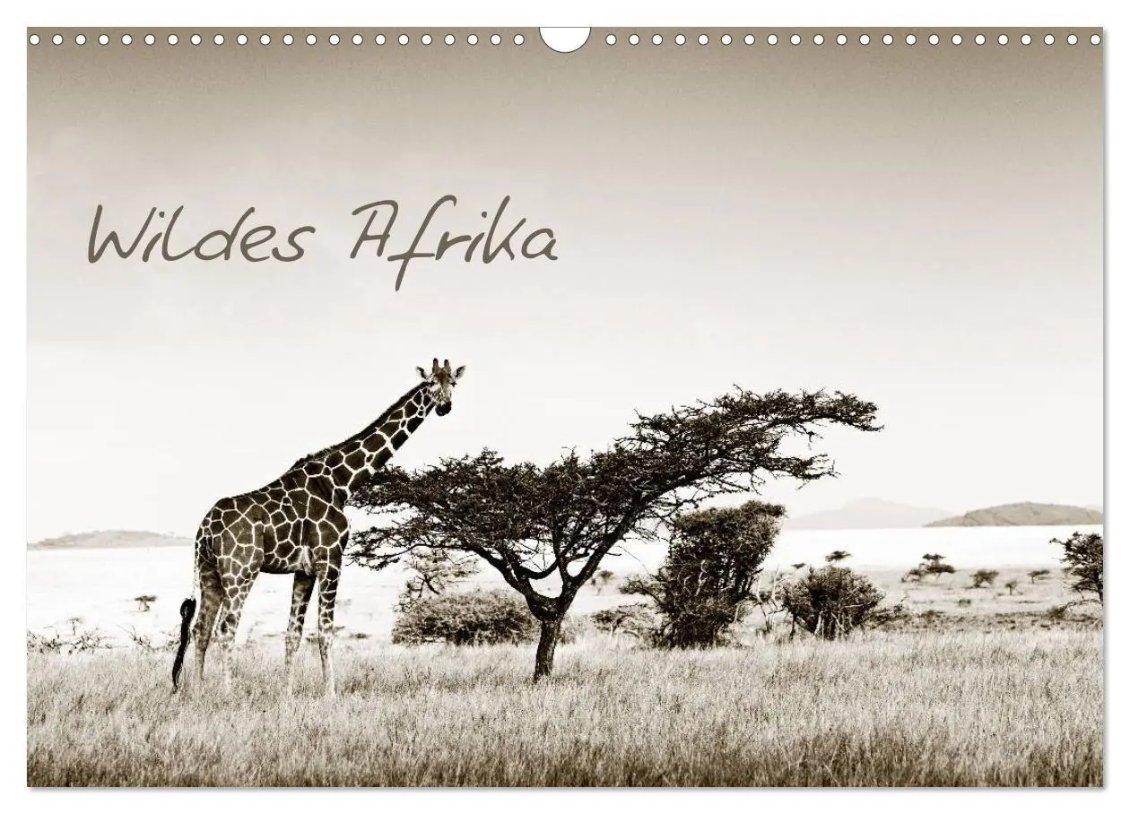 Cover: 9783516190052 | Wildes Afrika (Wandkalender 2026 DIN A3 quer), CALVENDO Monatskalender