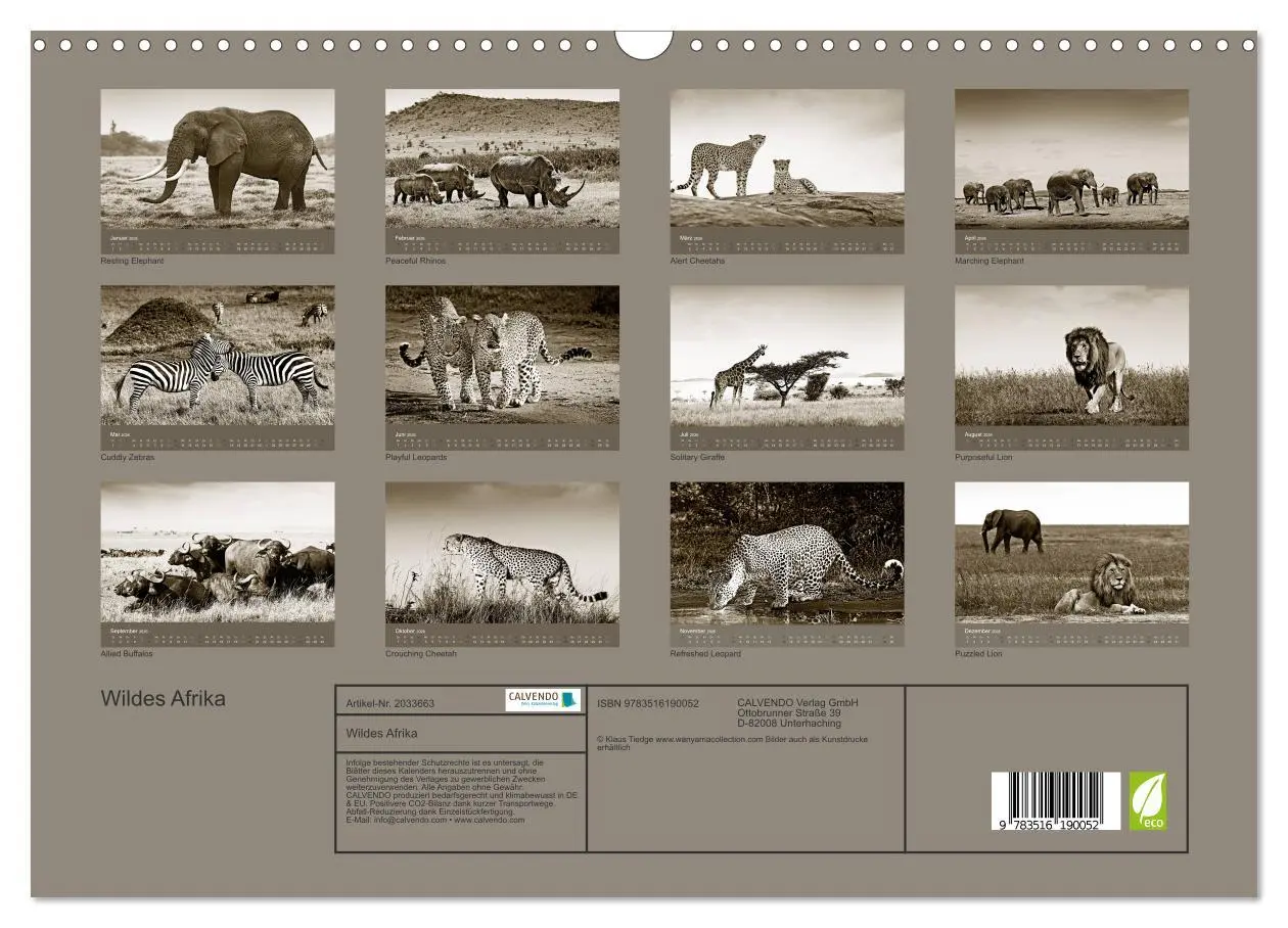Bild: 9783516190052 | Wildes Afrika (Wandkalender 2026 DIN A3 quer), CALVENDO Monatskalender
