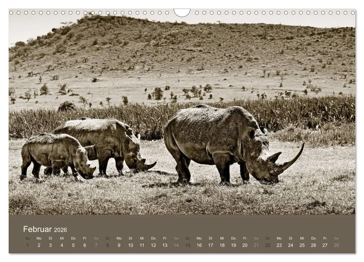 Bild: 9783516190052 | Wildes Afrika (Wandkalender 2026 DIN A3 quer), CALVENDO Monatskalender