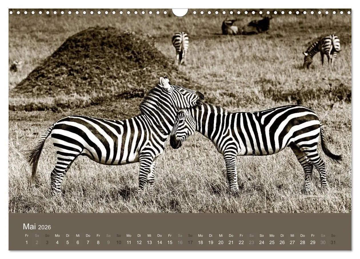 Bild: 9783516190052 | Wildes Afrika (Wandkalender 2026 DIN A3 quer), CALVENDO Monatskalender