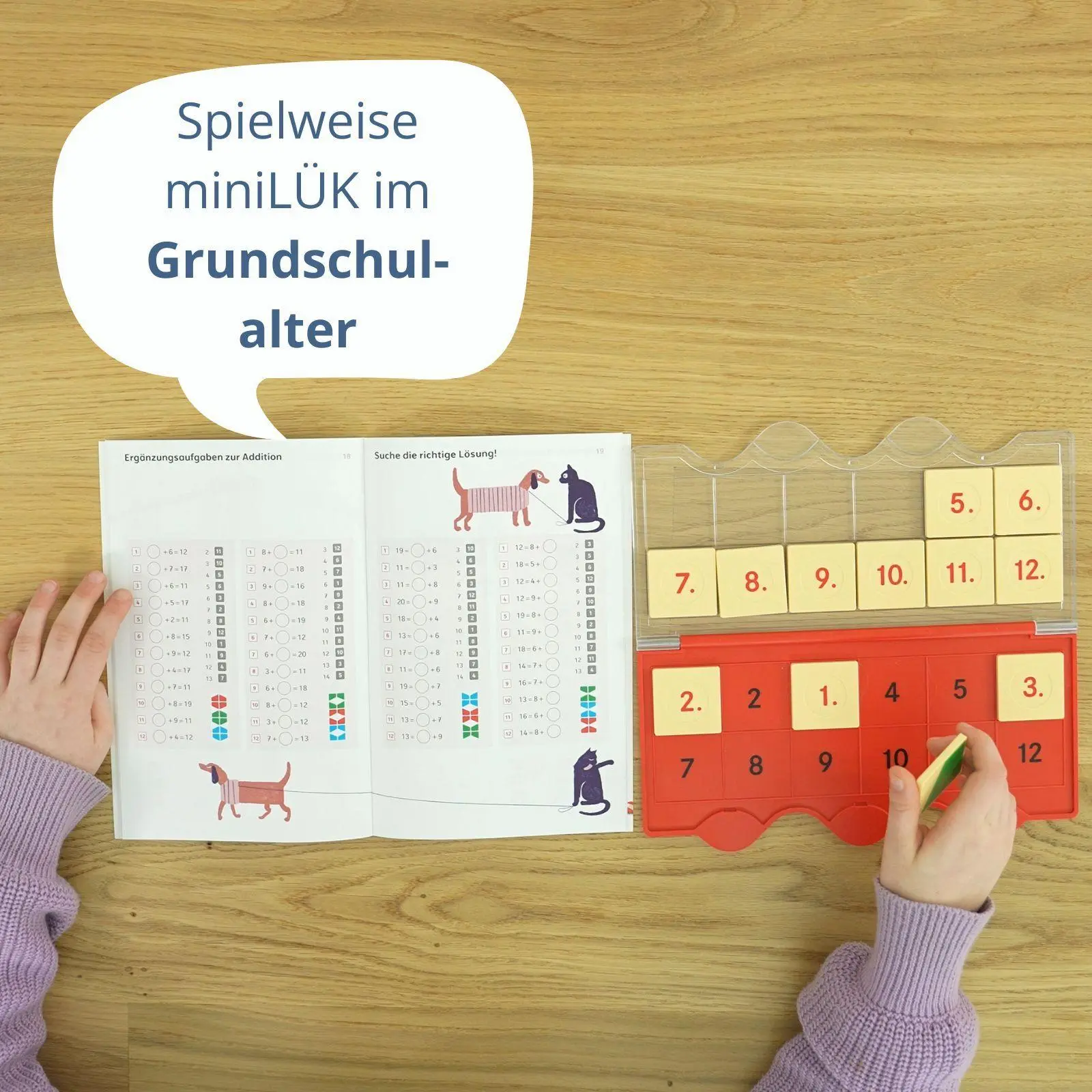 Bild: 9783837710052 | miniLÜK. Kontrollgerät Klarsichtdeckel pink | Heinz Vogel | Buch